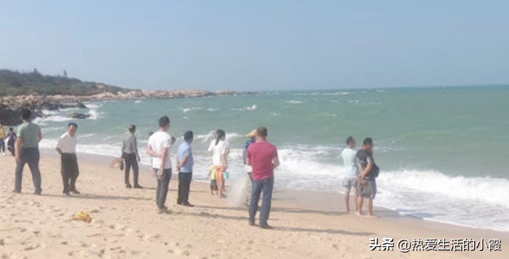 男子意外捡到无数金元宝 (男子海边捡宝)