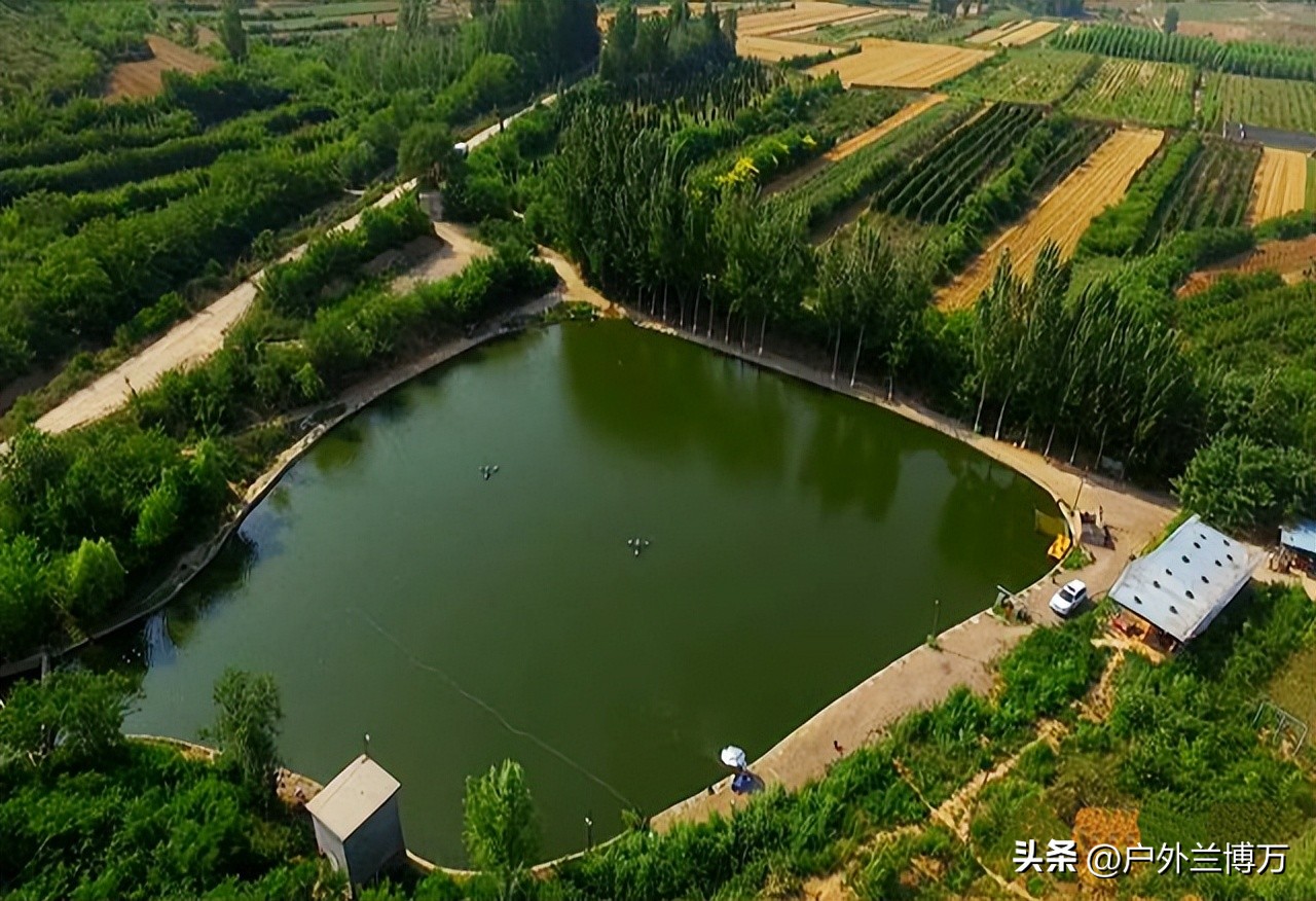 黑坑停业公告,停播整改中是什么原因