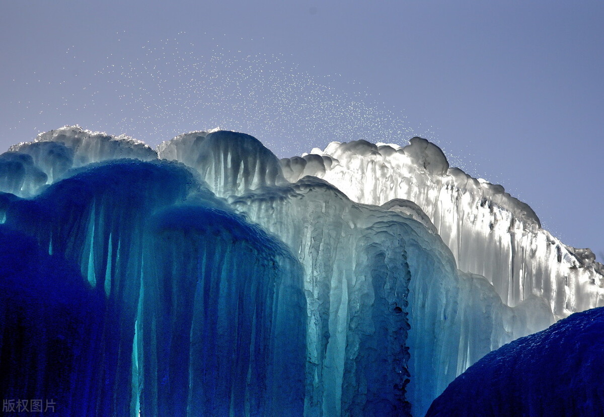 宠物托运包车攻略,宠物托运黄山