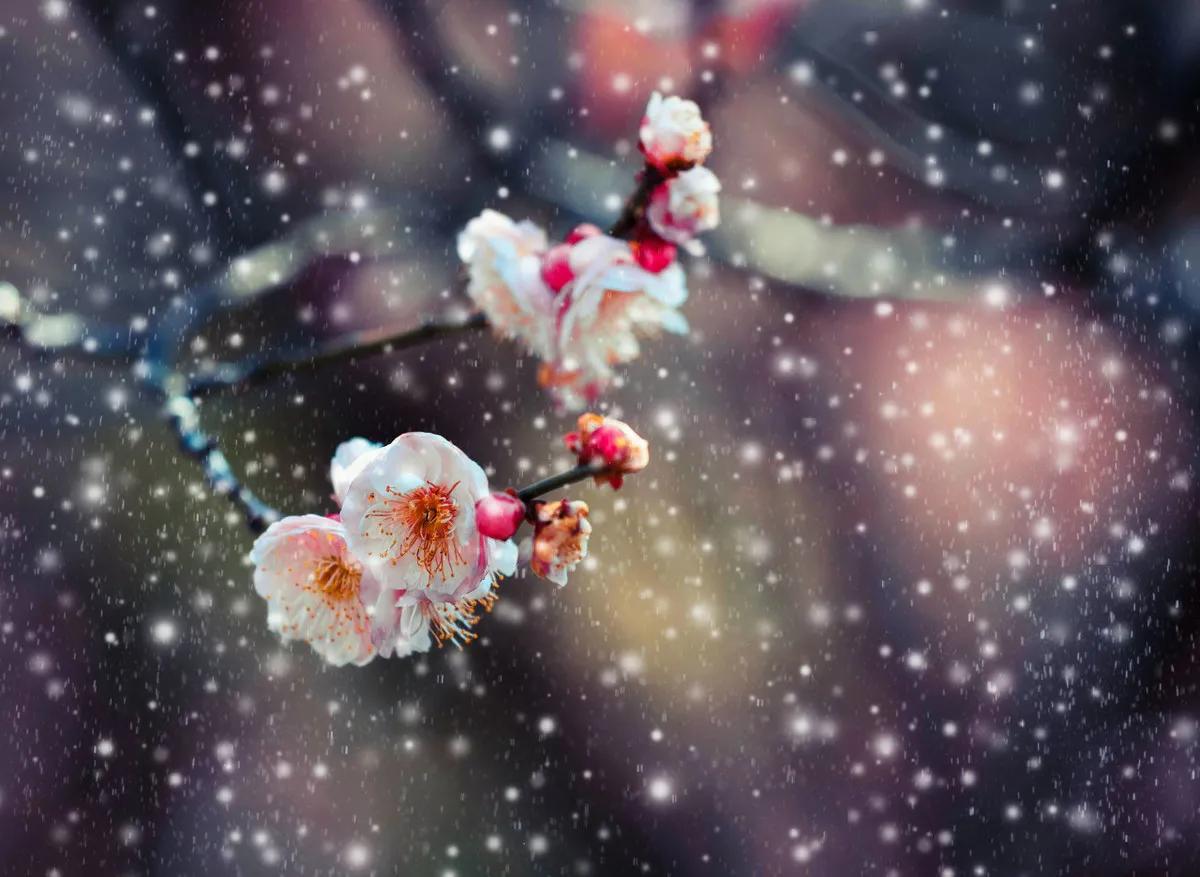 春节的古诗美文佳句,古诗词新年感悟