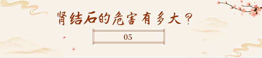 肾结石能吃蛋一类的食物吗,肾结石治疗期间可以吃鸡蛋吗