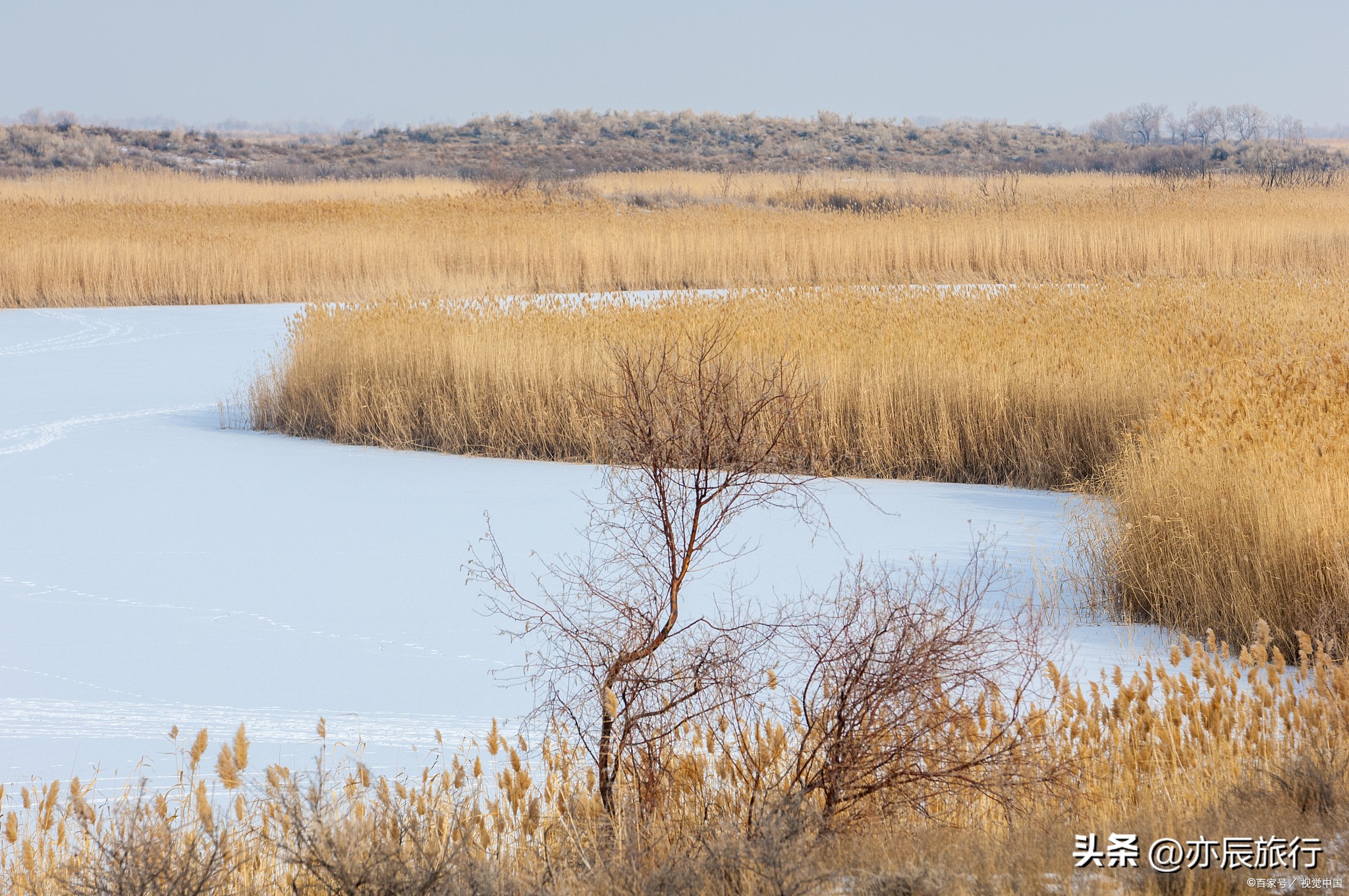 宁夏十一月旅游攻略图,宁夏周末旅游推荐地点最新