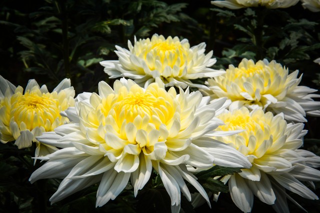 大姨妈量少怎么办,大姨妈来了怎么缓解疼痛