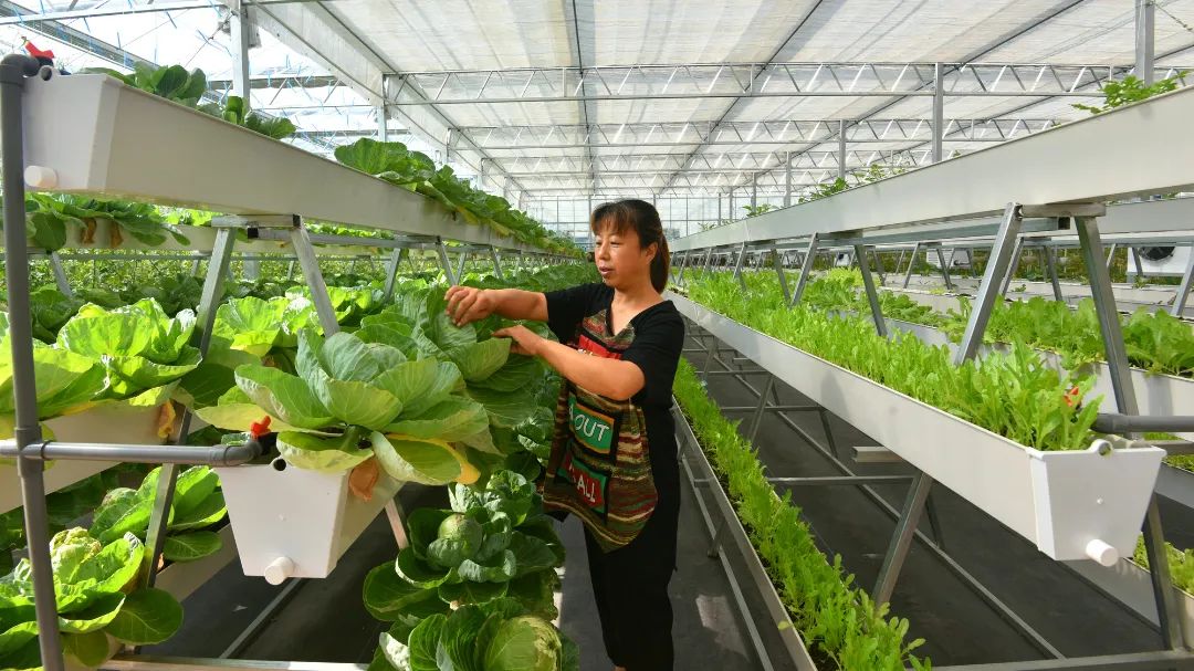 迎接党的20大美术作品,喜迎二十大乡村摄影展