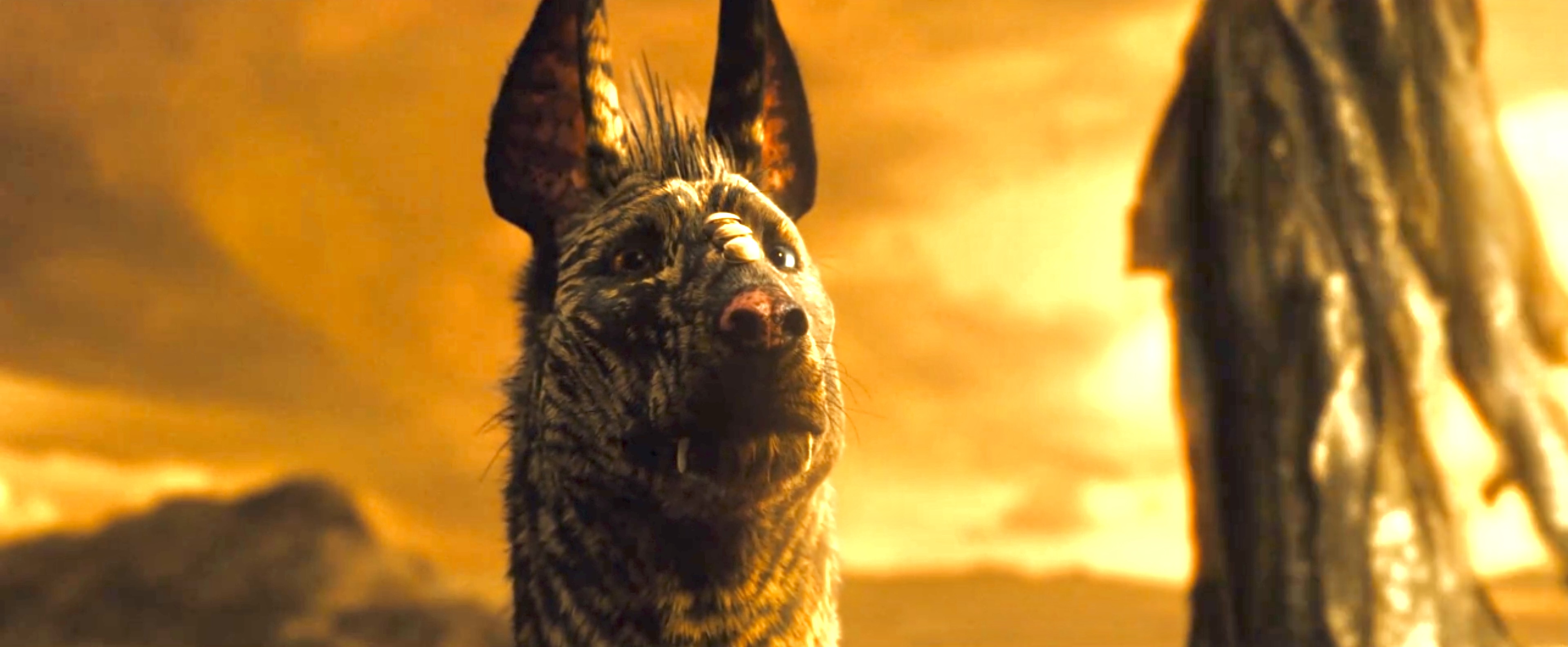 外星人怪兽介绍,传奇怪兽宇宙怪兽介绍