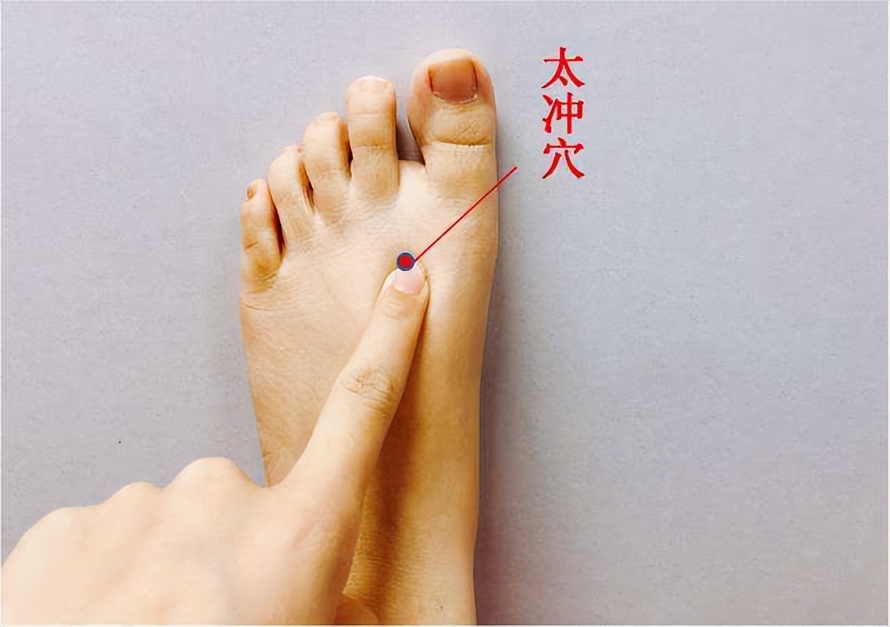 玫子科普：十二经脉，足厥阴肝经——血液中的清道夫