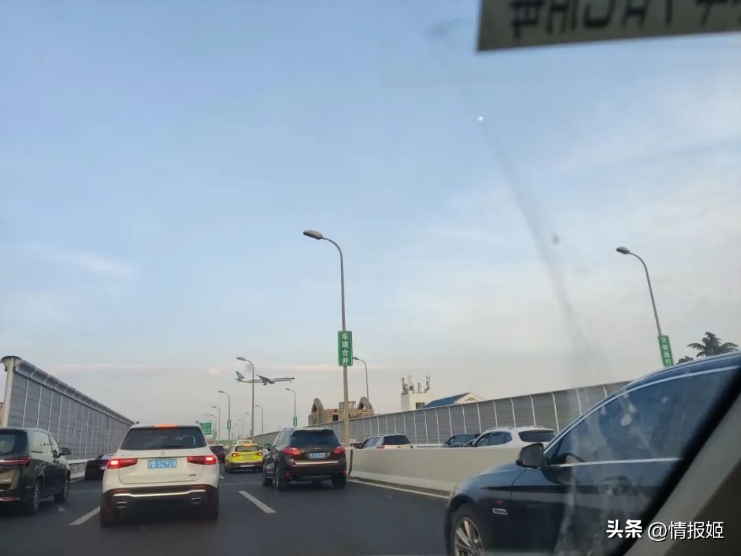 去cp29不会迷路吗,为什么这么多人要去cp29