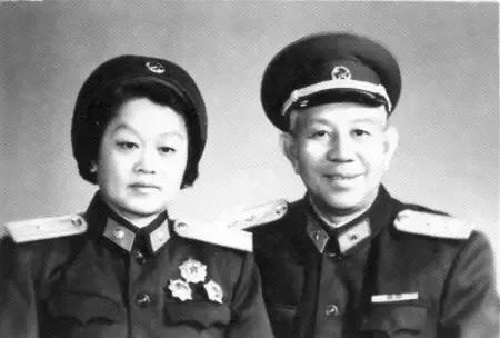 红色太阳花花语和寓意,红色朝阳花