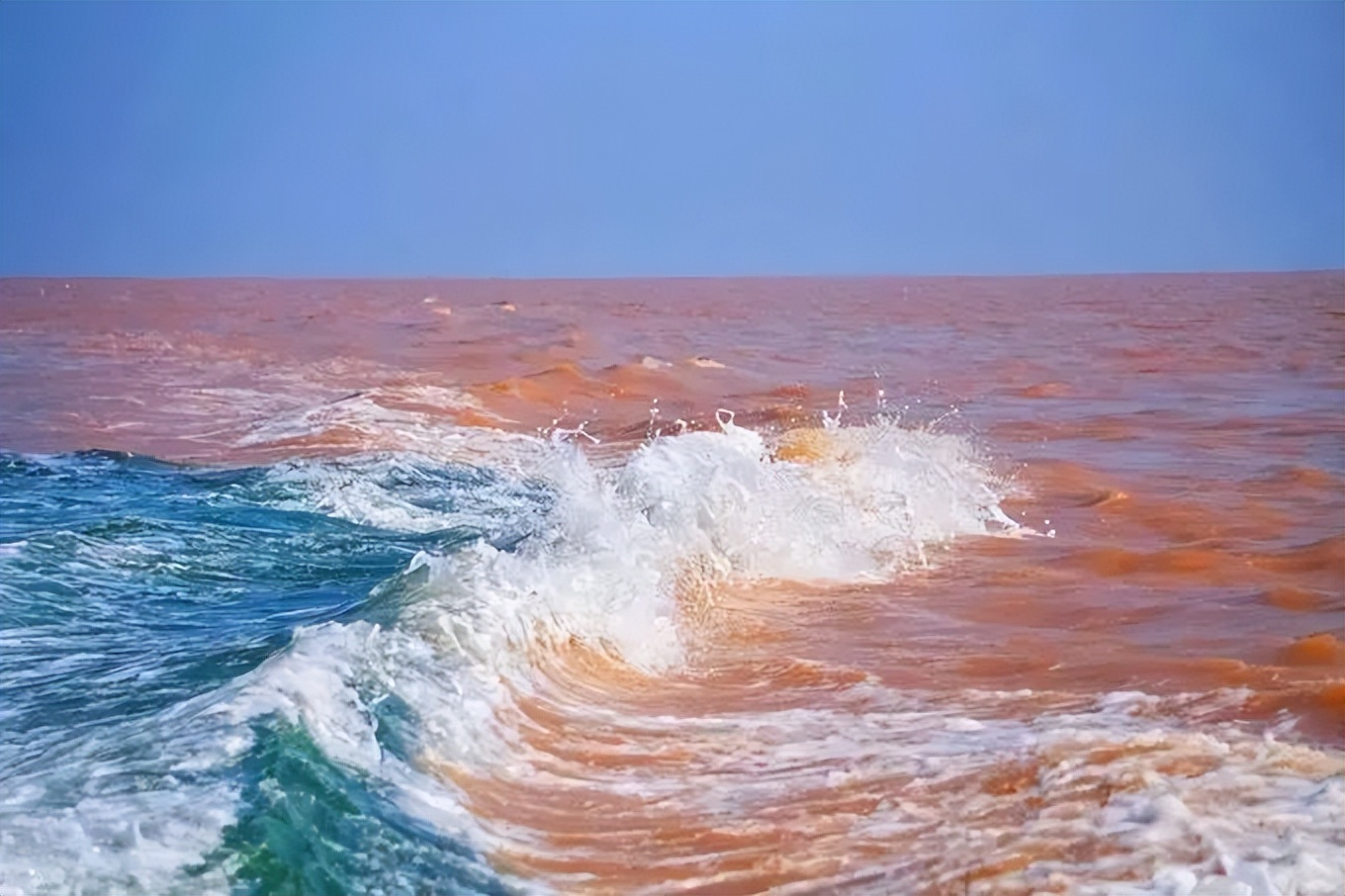 跟团去山东旅游,跟团去欧洲旅游游记