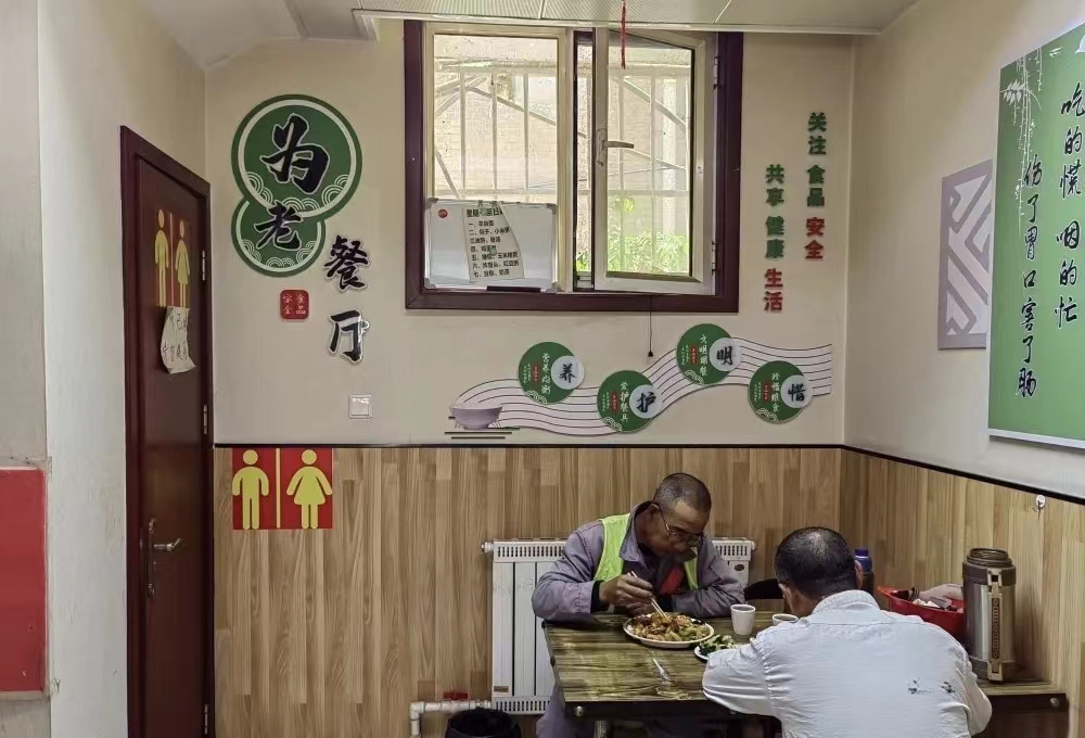 党建引领下的居家养老服务,党建引领农村互助式养老服务