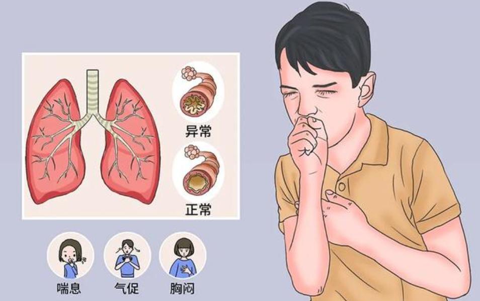 砂锅冰糖雪梨的正确做法润肺止咳,冰糖蜂蜜雪梨的正确做法润肺止咳