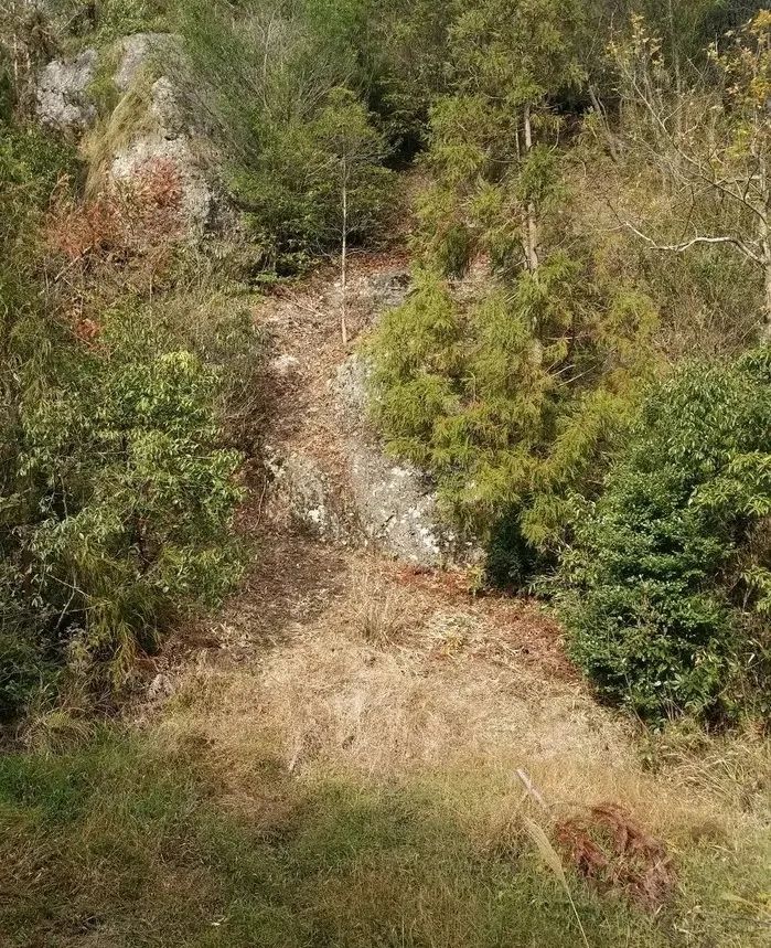 古禹州杨寨街土地爷贪吃故事:脚不沾地回家