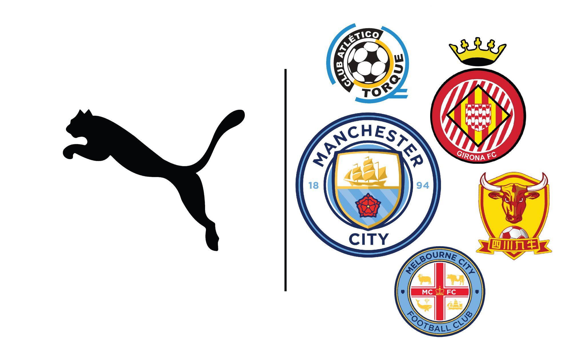 各个国家的都有哪些足球俱乐部,世界十大足球俱乐部及国家