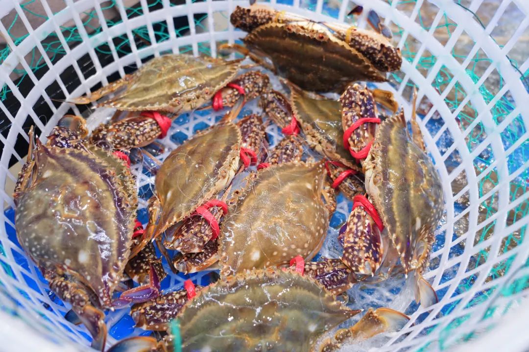 江苏盐城藏着一个安逸县城,为了吃都值得去一趟!知道的人太少