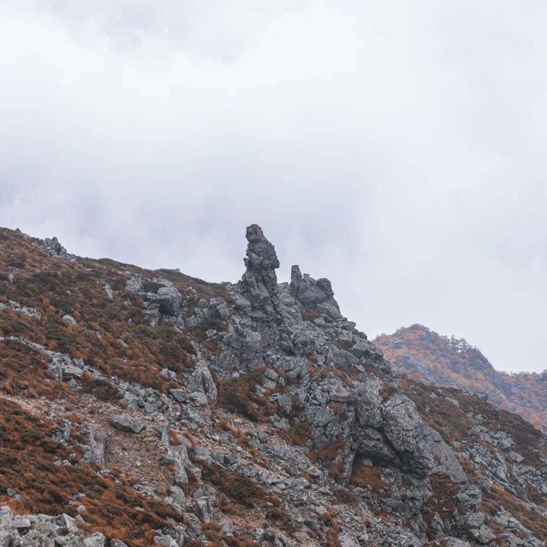 太白山是陕西最高点吗,秦岭最高峰太白山