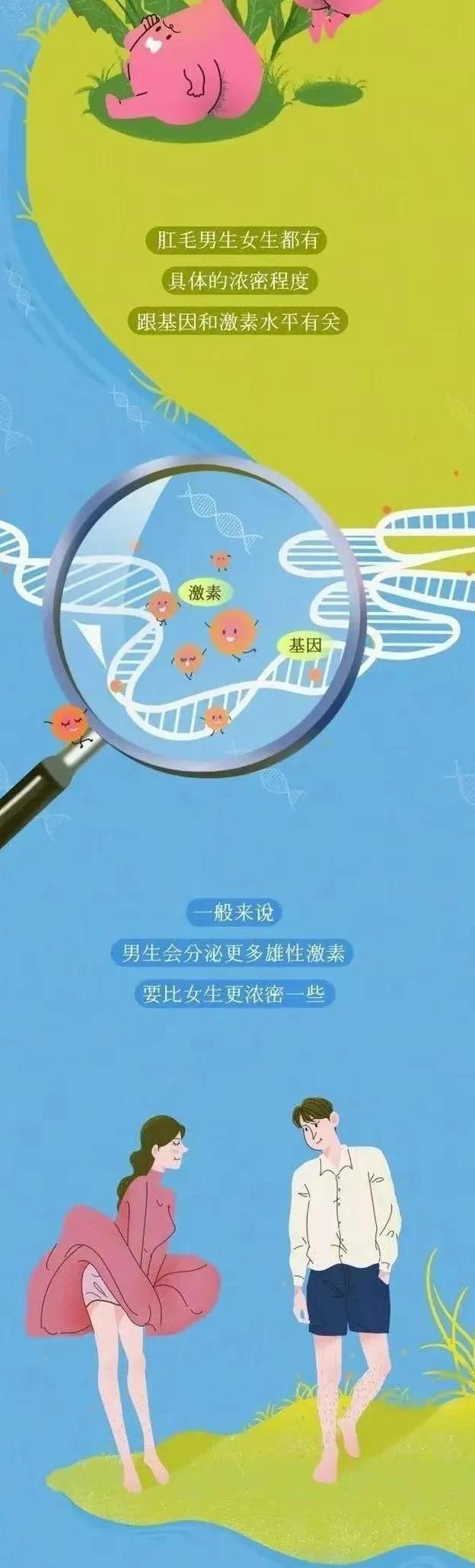 漫画科普：你的肛门周围也长“毛”吗？可以刮掉吗？