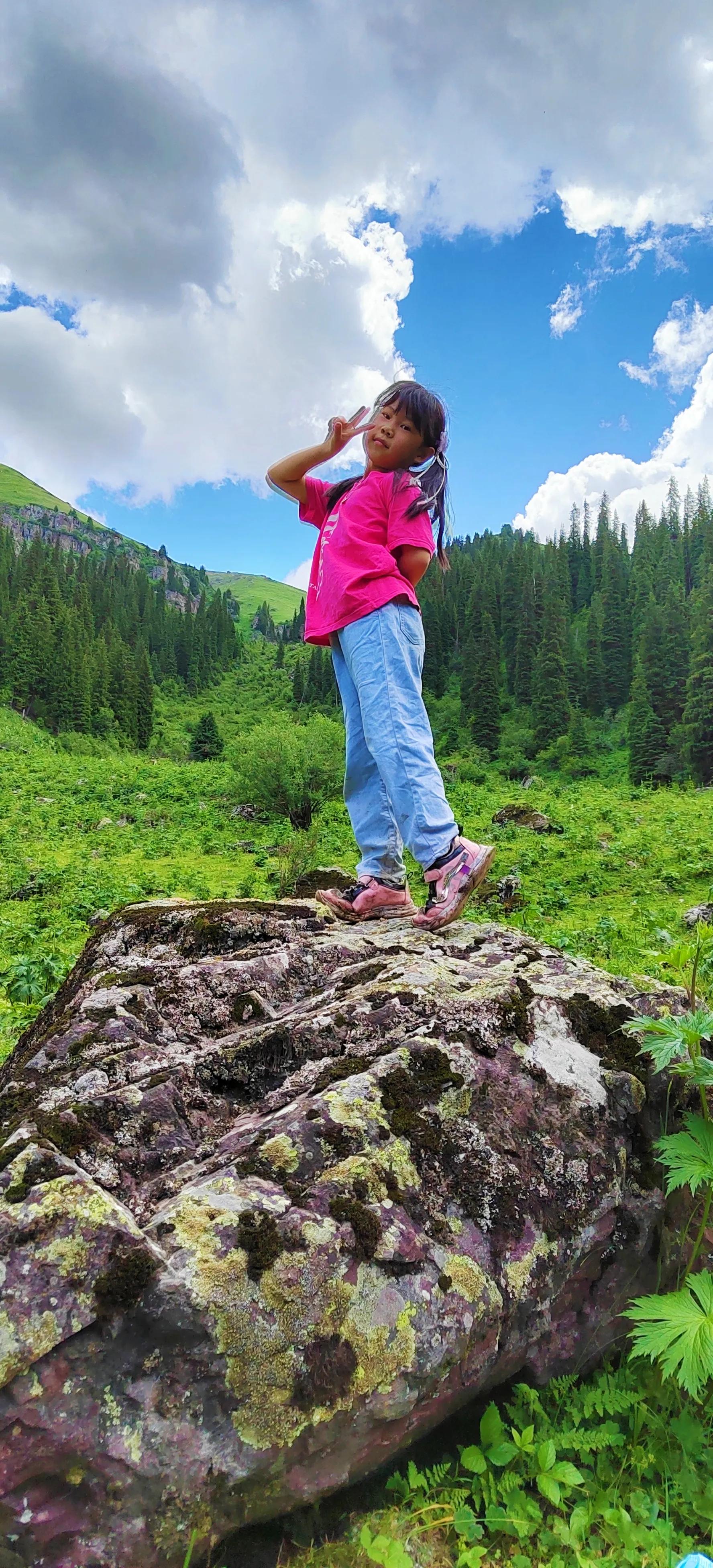 穿越森林探险视频,穿越森林探险之旅