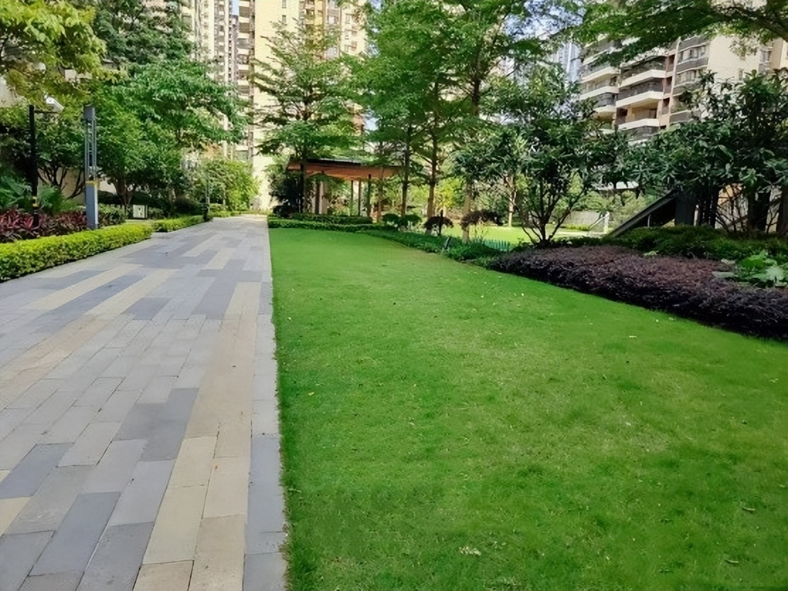 你们的小区绿化都是什么样的,小区绿化你觉得怎么样