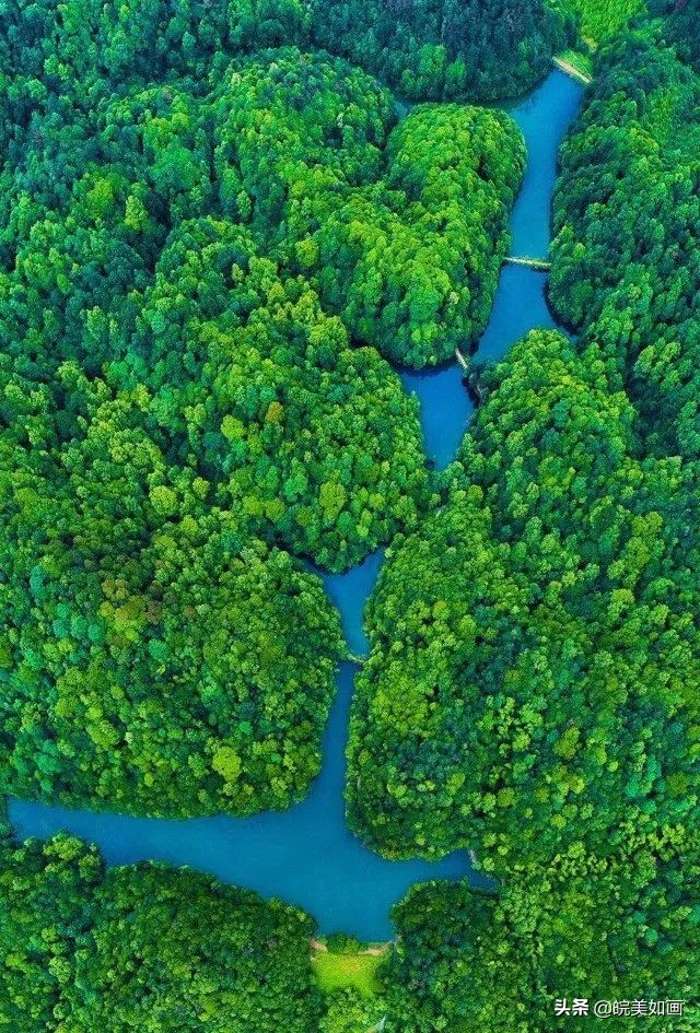 夏天避暑宝藏胜地,安徽夏天避暑最佳旅游地