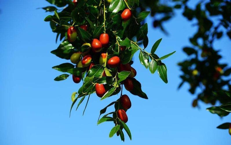 <html>
<head><title>502BadGateway</title></head>
<body>
<center><h1>502BadGateway</h1></center>
<hr><center>nginx</center>
</body>
</html>
<!--apaddingtodisableMSIEandChromefriendlyerrorpage-->
<!--apaddingtodisableMSIEandChromefriendlyerrorpage-->
<!--apaddingtodisableMSIEandChromefriendlyerrorpage-->
<!--apaddingtodisableMSIEandChromefriendlyerrorpage-->
<!--apaddingtodisableMSIEandChromefriendlyerrorpage-->
<!--apaddingtodisableMSIEandChromefriendlyerrorpage-->
