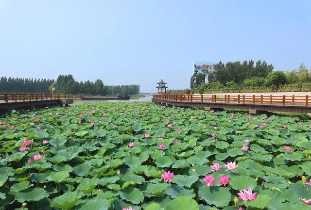 山东很少有人知道的旅游景点,山东泰安市4a景区名单