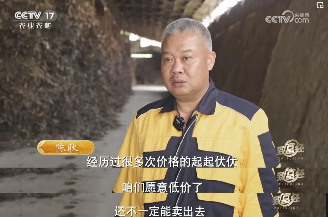 一根“树皮”引发的国际知名品牌