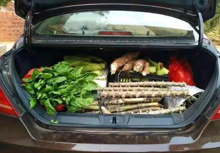 车辆备胎有什么需要注意的,备胎注意事项及使用方法