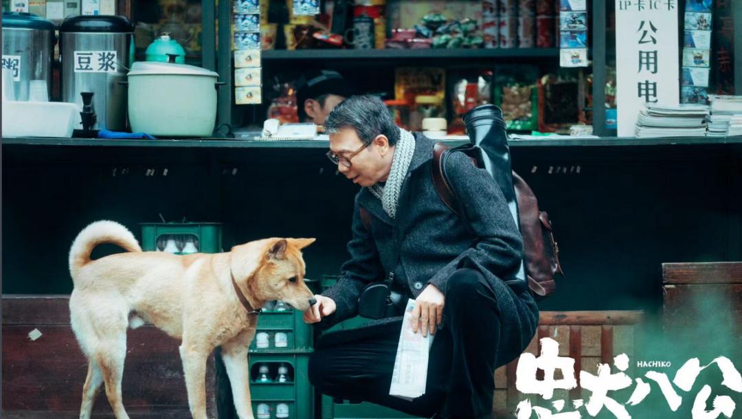 忠犬八公感人,忠犬八公最后30分钟感人片段