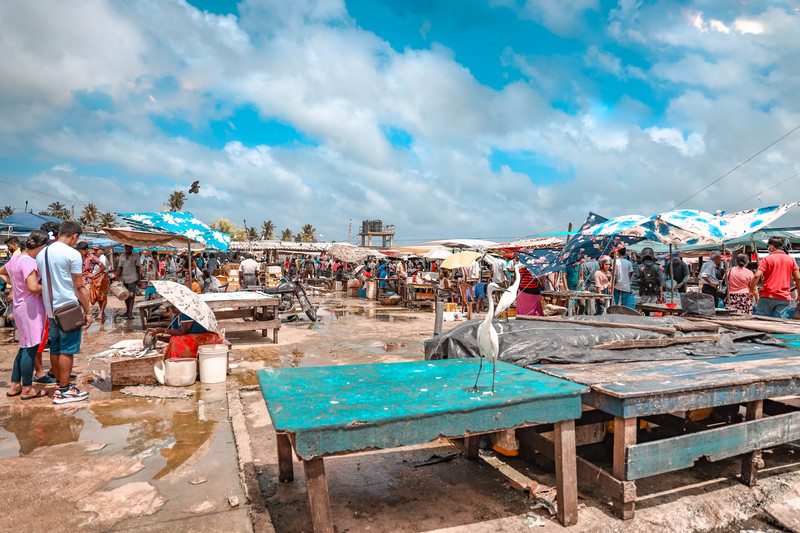 斯里兰卡旅游攻略必去景点,斯里兰卡最佳旅游攻略
