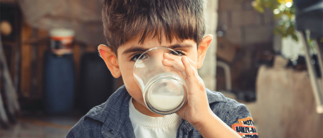 南方网红牛奶,所谓的网红牛奶