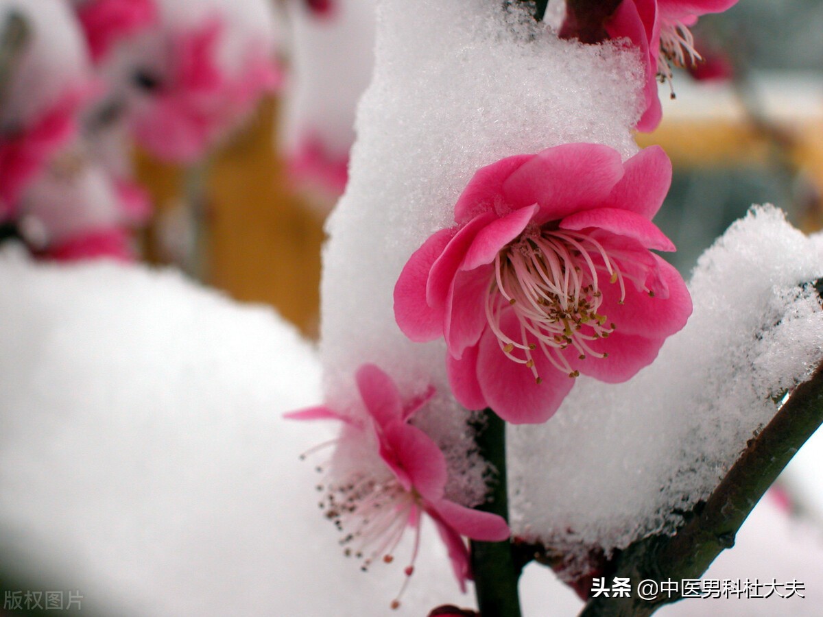 手脚出汗属于肾阴虚还是阳虚,阳气不足手脚出汗吃什么