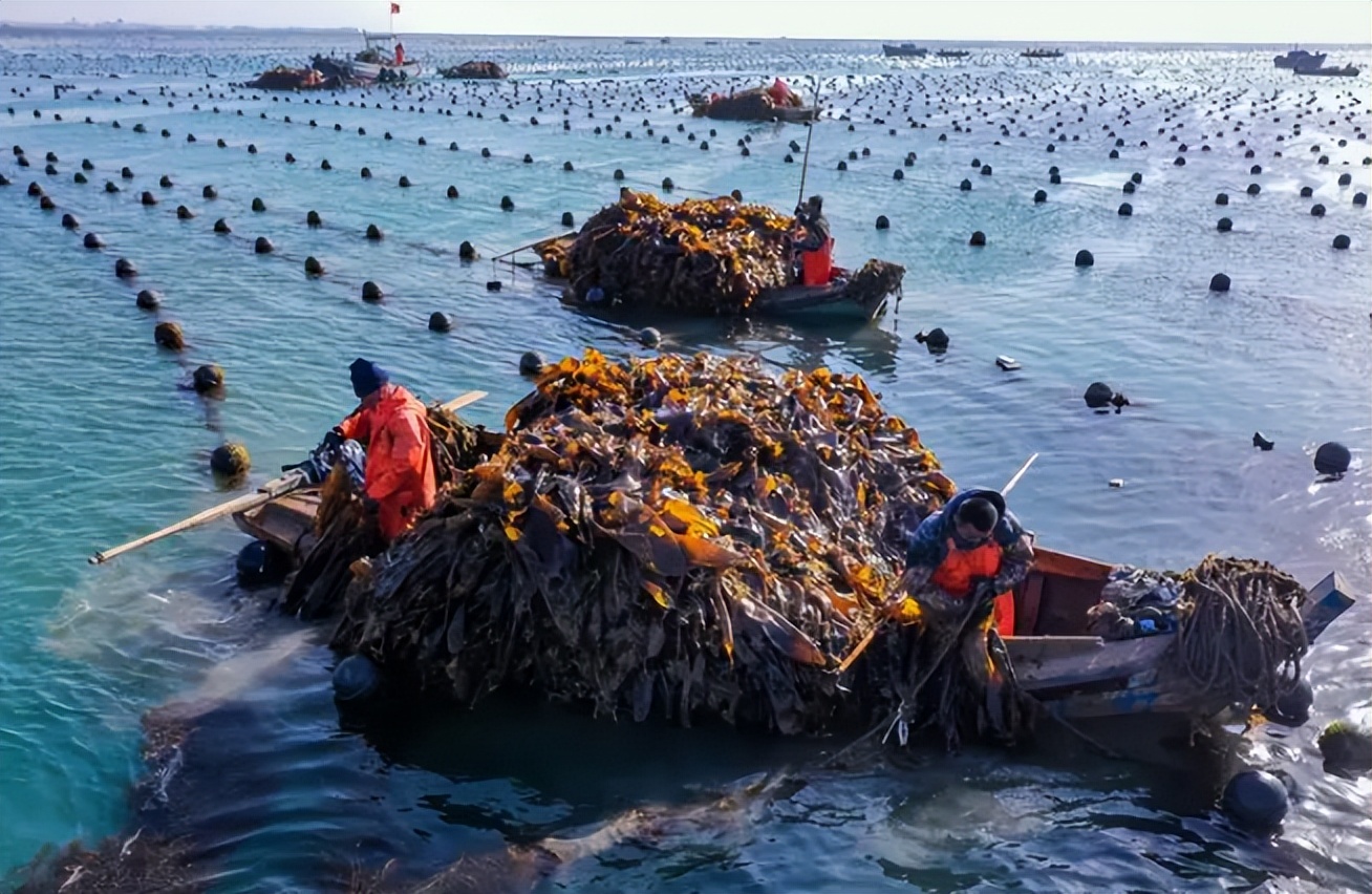 丹麦什么时候进入工业时代,1914年丹麦经济