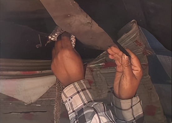 黑龙江女子养了20多条蛇,黑龙江女子养蛇