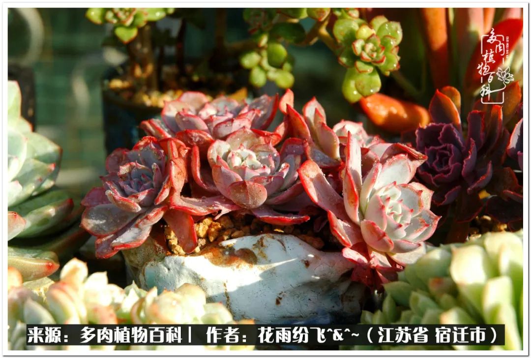 回味童年无忧无虑的快乐时光,童年最快乐的时光