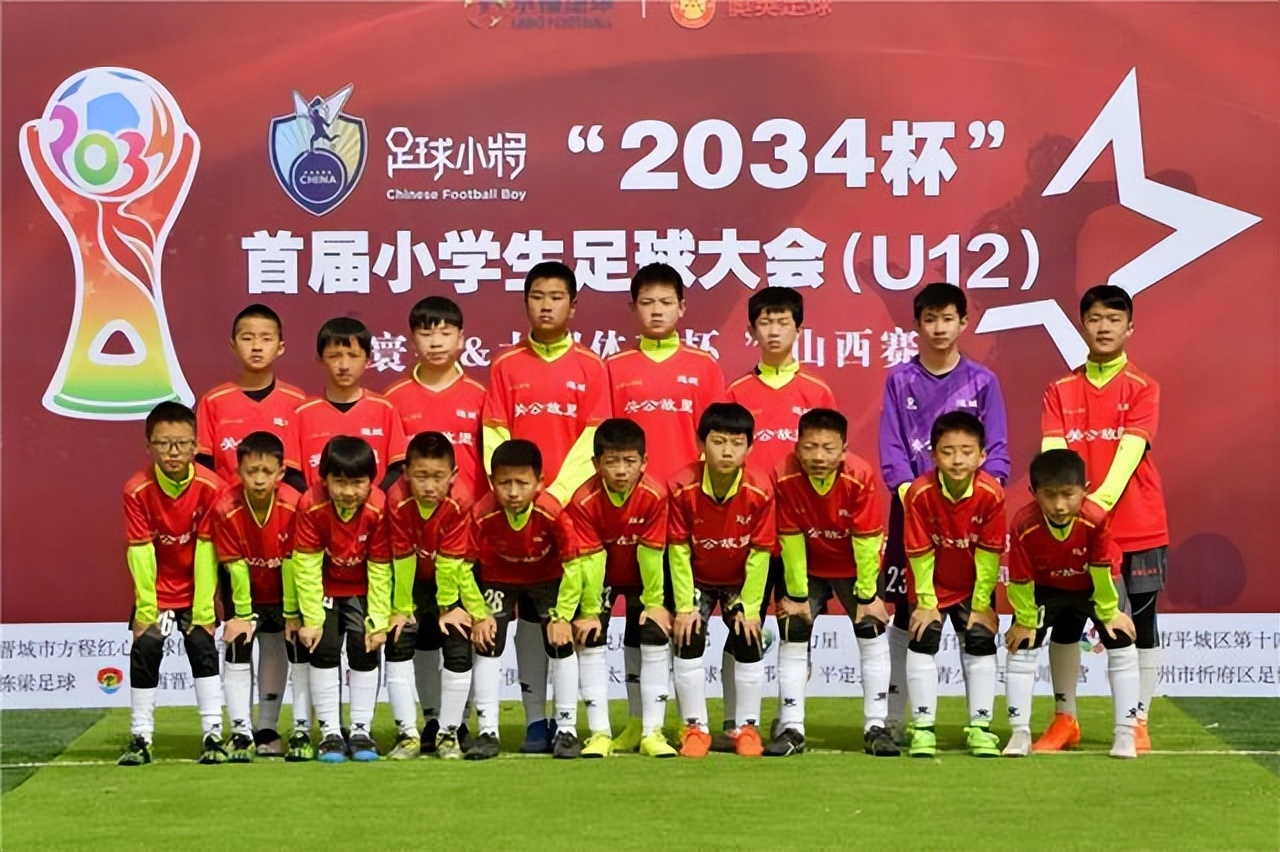 日本2-1击败西班牙队国足感受,德国西班牙日本