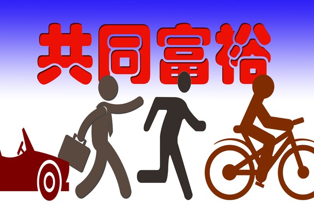 共同富裕实施后带来的影响,共同富裕的效应与机制