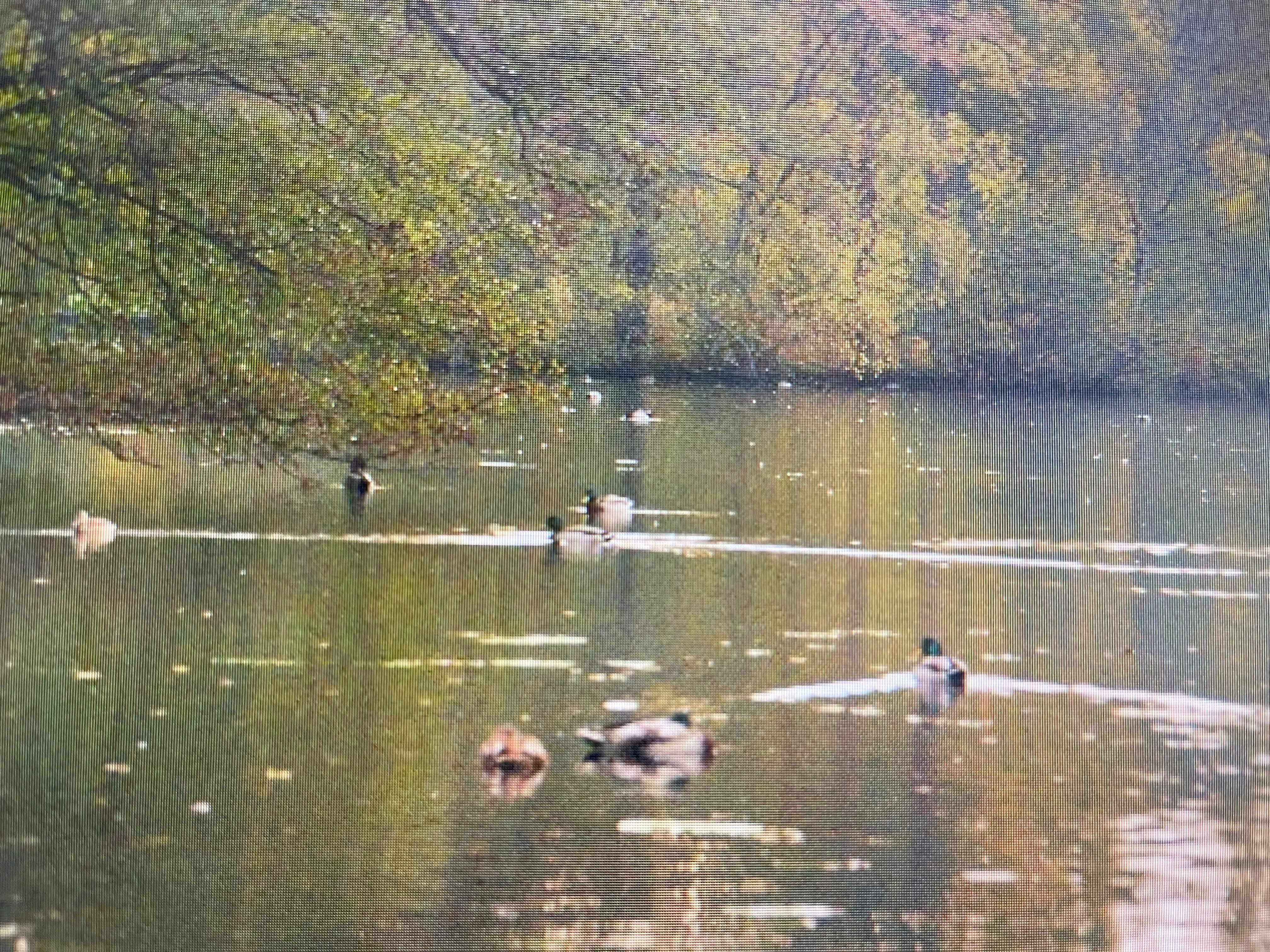 游北欧十五首 (北欧五国游最美乡村)