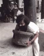 每日gif搞笑趣图,每日gif