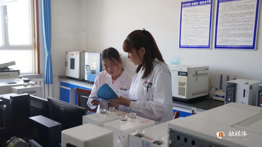 乌达区项目,乌达工业区最新项目