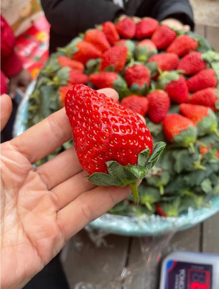 南宁物价排全国第几,南宁一线消费水平二线工资