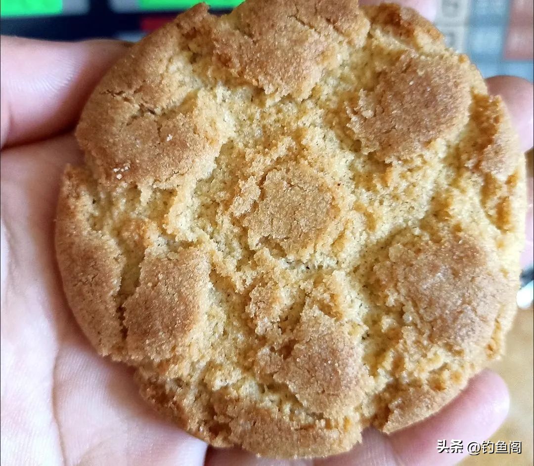 自制窝料配方大全集视频,自制窝料大板鲫