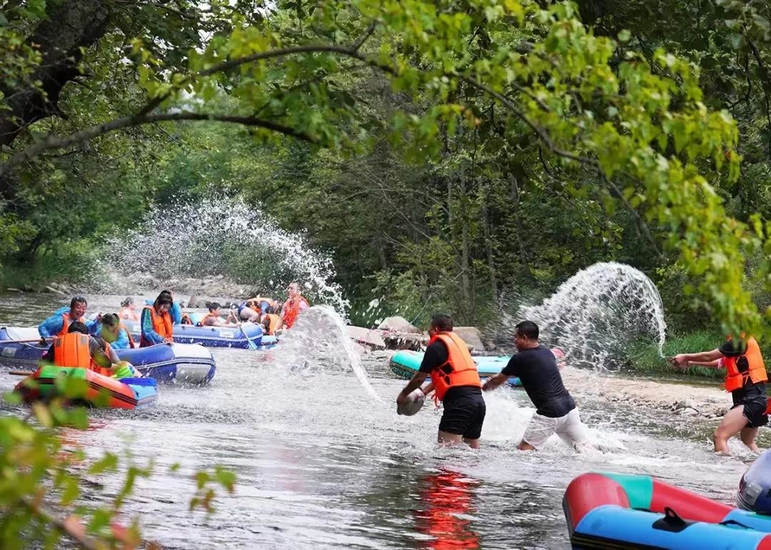 美好的夏天一切都在盛放,一切都从这个美好的夏天开始