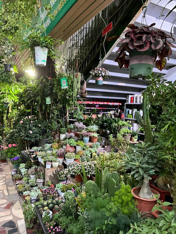 母亲节鲜花花束深圳,深圳福田区母亲节鲜花