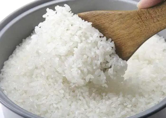 怎么做出很营养饭菜,想要做菜简单