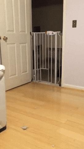 100个难得一见照片,火山爆发时的岩浆图片真实