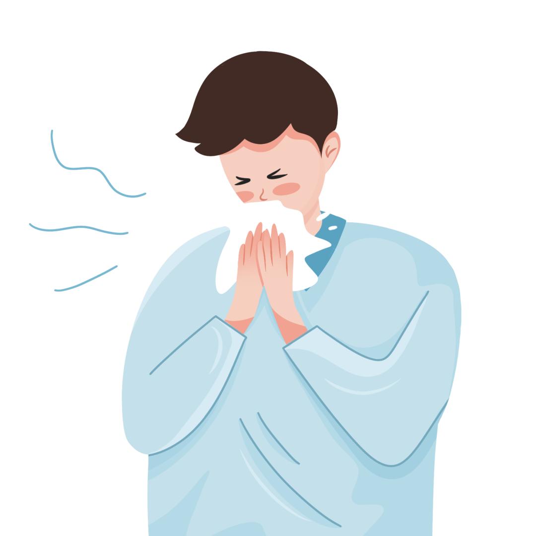 健康科普柳絮过敏,健康宣教过敏症状