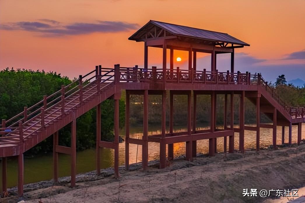 春季国内观鸟热门地,这份观鸟地图请收好