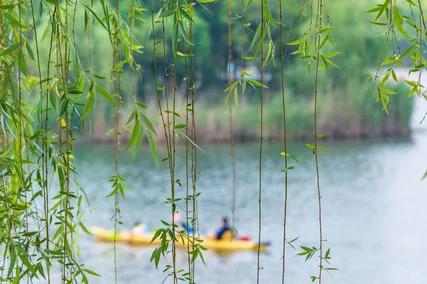 物是人非事事休欲语泪先流朗读,物是人非事事休欲语泪先流bgm
