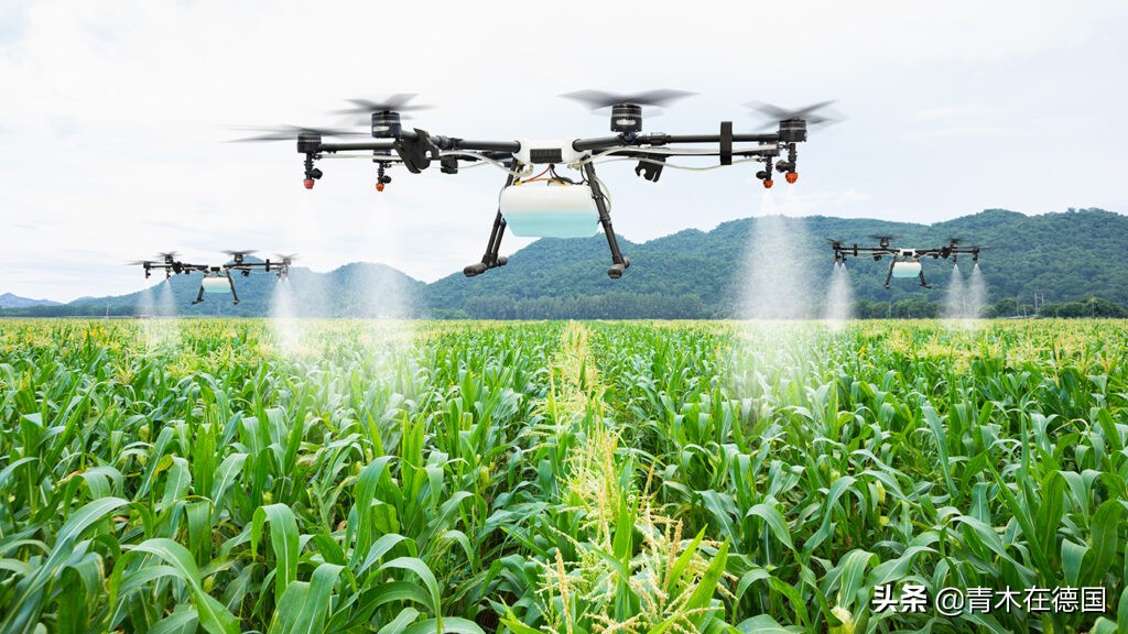 德媒：世界上最富有的10个农民，5个来自中国，拥有共同致富密码