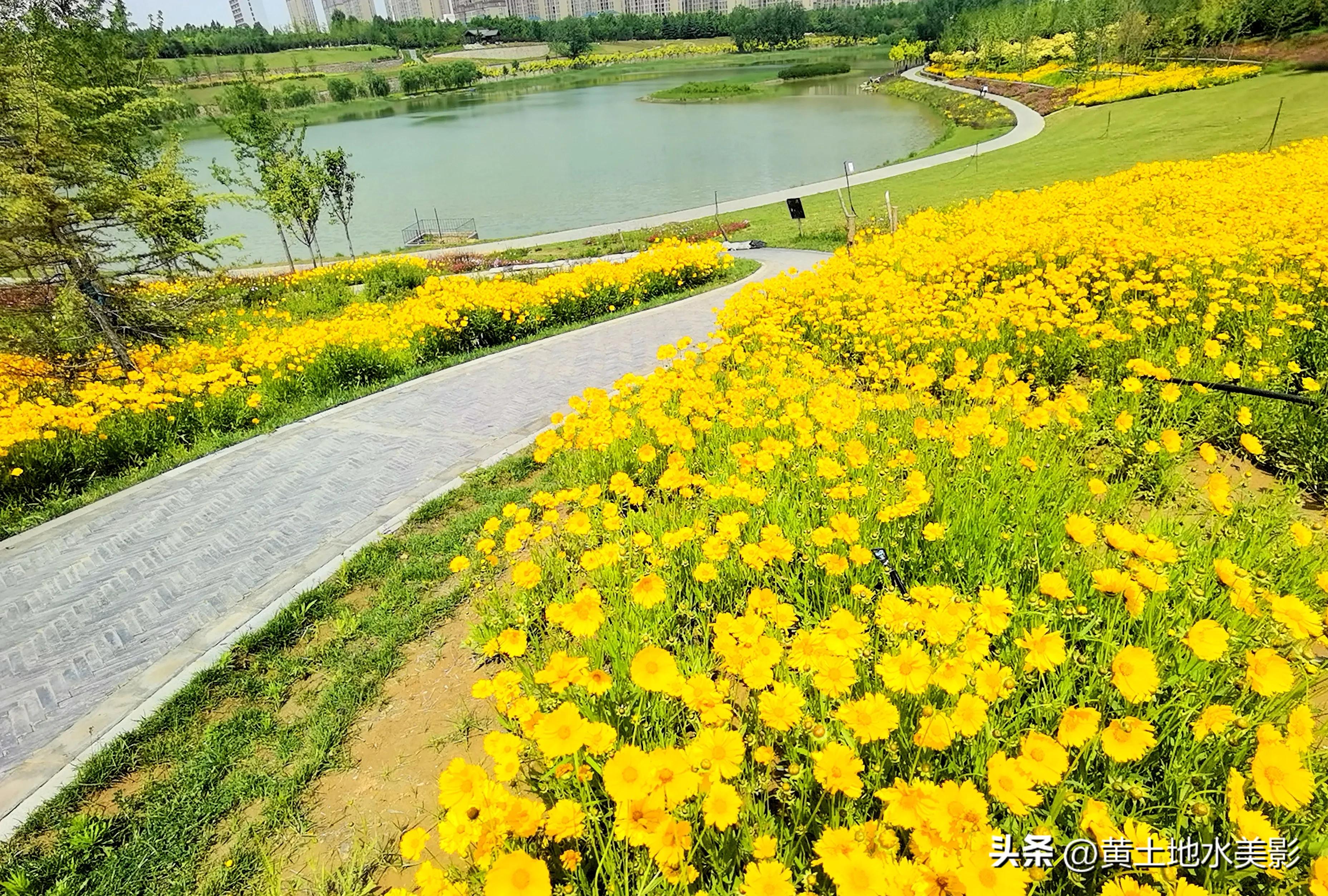 郑州象湖生态公园免费景点推荐,绿湖湿地公园河南
